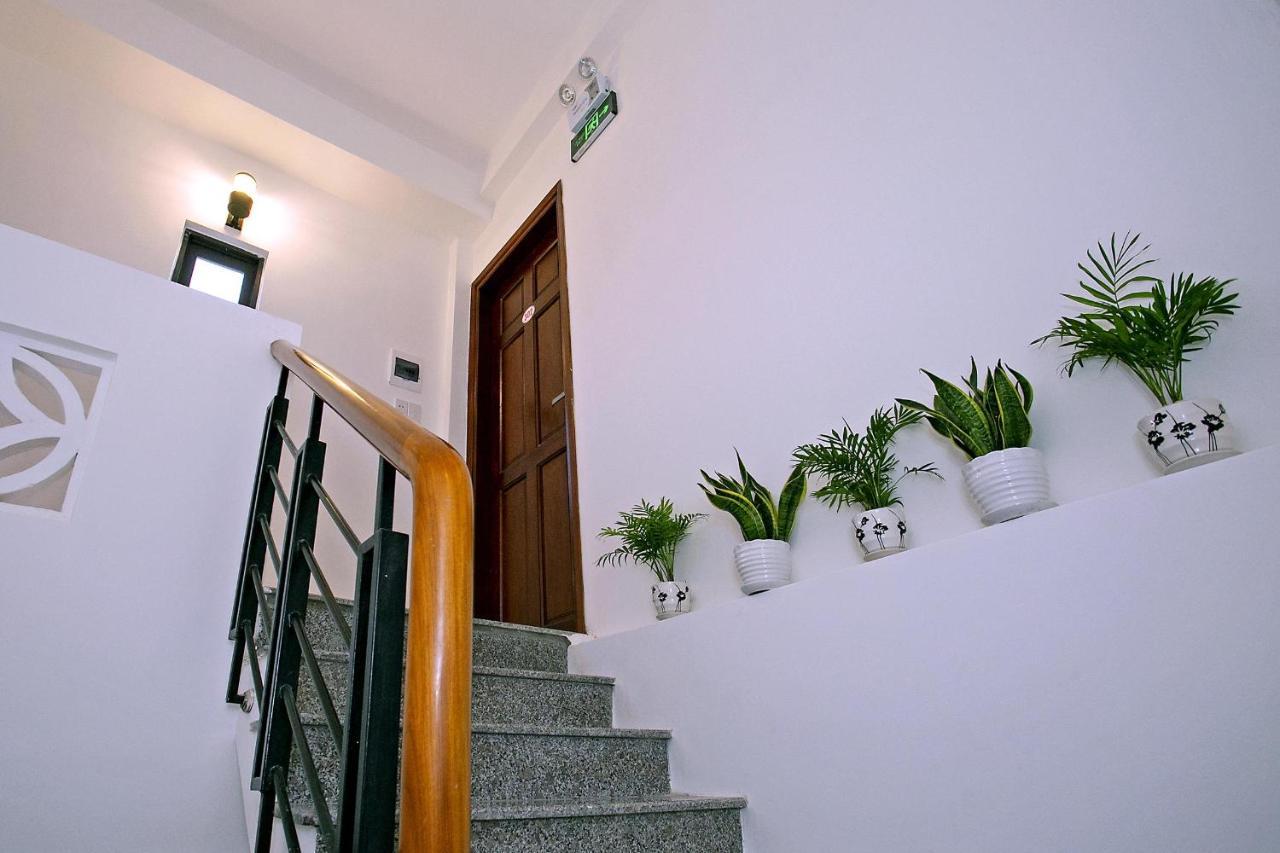 Focus Homestay Хоян Екстер'єр фото